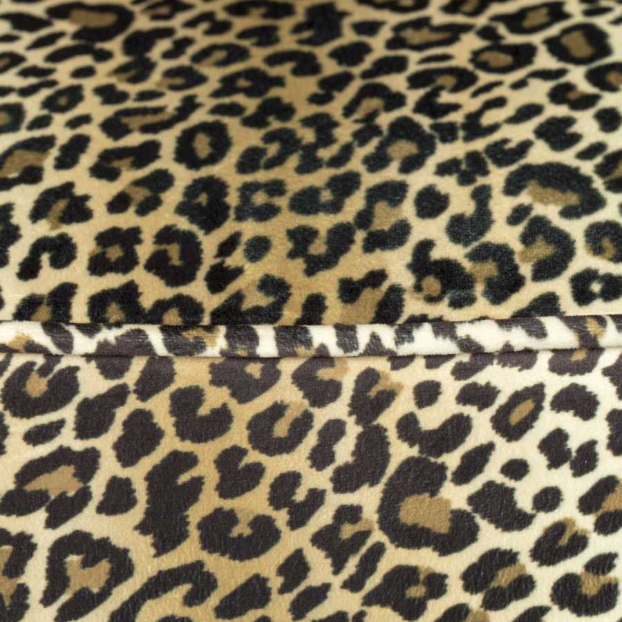 Bold Monkey Claws Out Chair Panther