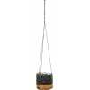 Bazar Bizar Banana Plant Hanging Plant Pot - Natural & Black