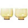 Blomus Flow Tumbler Glasses - Set of 2 - Dull Gold
