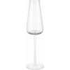 Blomus Belo Flute Champagne Glasses - Set of 2 - Clear