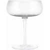 Blomus Belo Champagne Glasses - Set of 2 - Clear