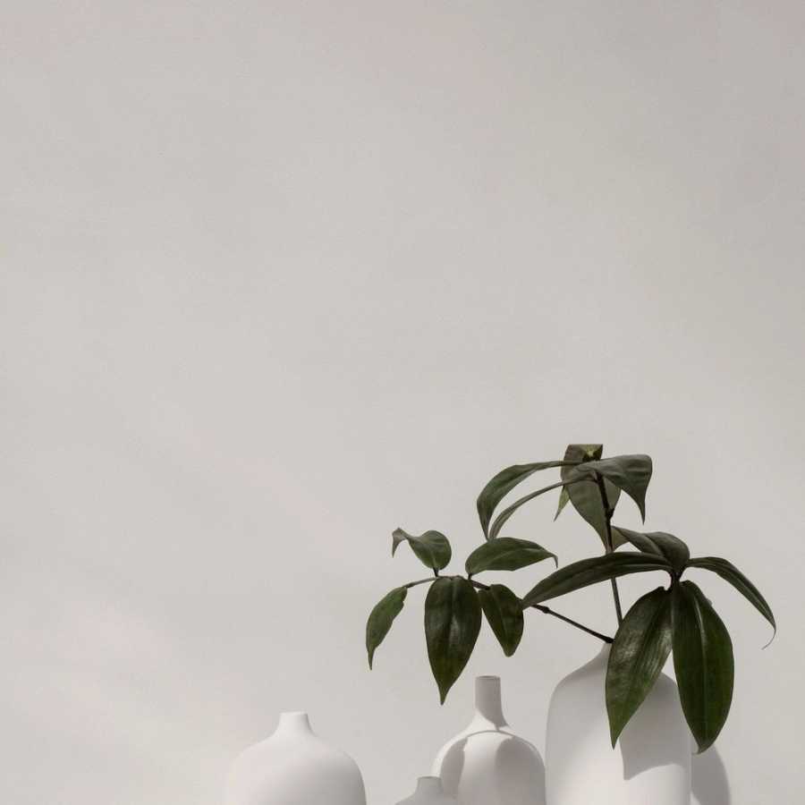 Blomus Ceola Tall Vase - White