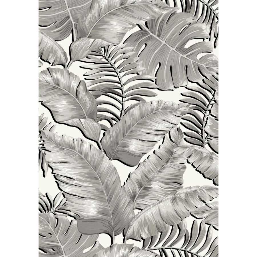 Brand Mckenzie Tropical Daze Banana Leaves Max BMTD001/05A Wallpaper - Black & White
