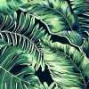 Brand Mckenzie Tropical Daze Banana Leaves Max BMTD001/05C Wallpaper - Leaf Green