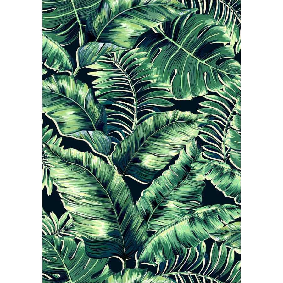 Brand Mckenzie Tropical Daze Banana Leaves Max BMTD001/05C Wallpaper - Leaf Green