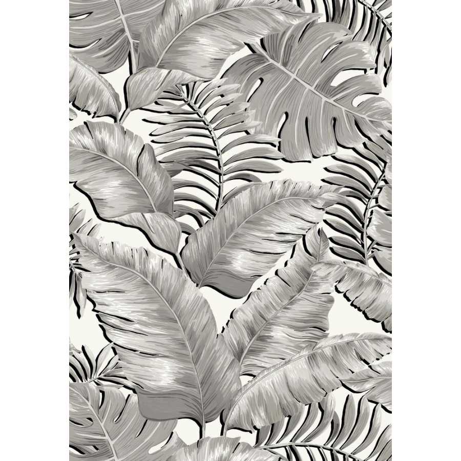 Brand Mckenzie Tropical Daze Banana Leaves Standard BMTD001/06A Wallpaper - Black & White