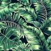 Brand Mckenzie Tropical Daze Banana Leaves Standard BMTD001/06C Wallpaper - Leaf Green