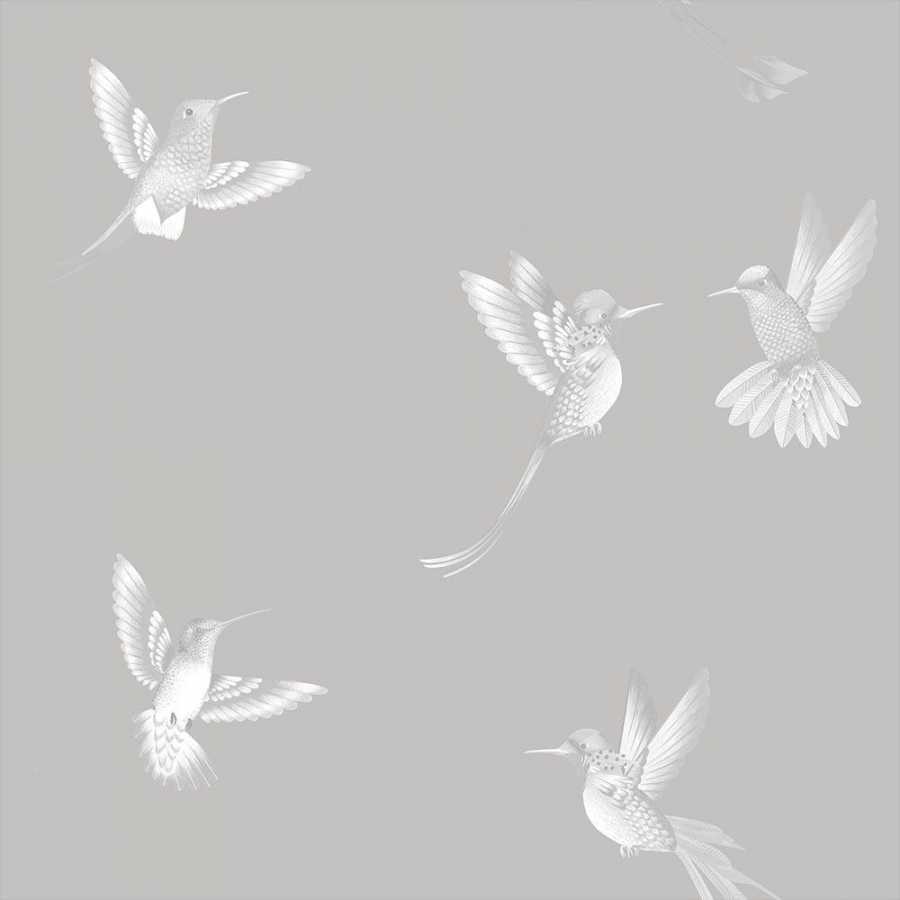 Brand Mckenzie Tropical Daze Exotic Birds BMTD001/08B Wallpaper - Concrete Grey