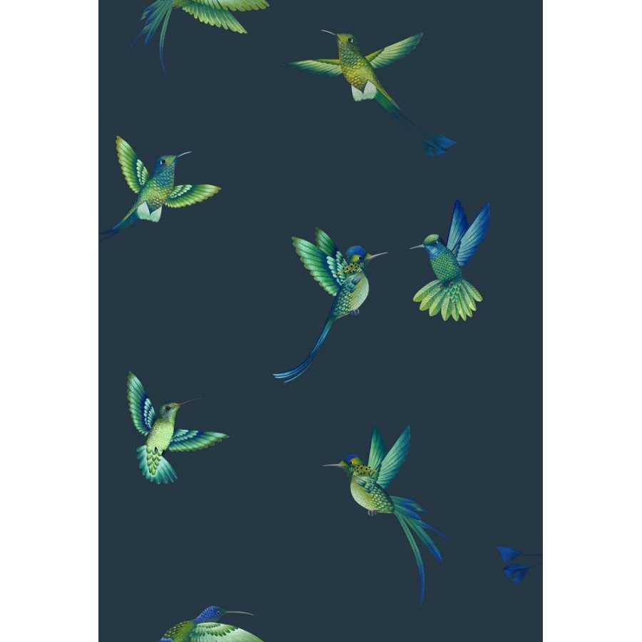 Brand Mckenzie Tropical Daze Exotic Birds BMTD001/08C Wallpaper - Midnight Blue