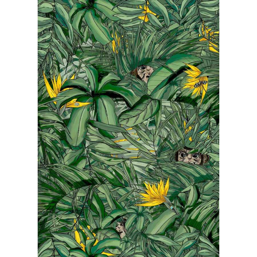 Brand Mckenzie Tropical Daze Monkey Forest BMTD001/09B Wallpaper - Dark Green & Yellow