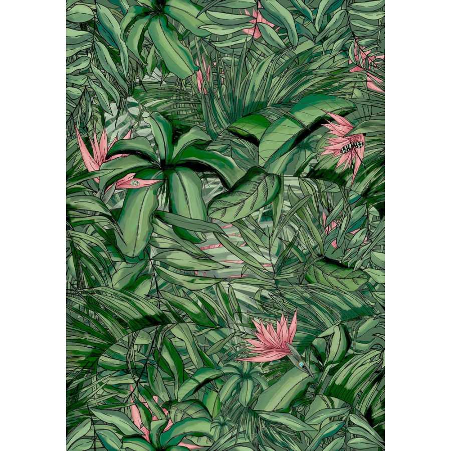 Brand Mckenzie Tropical Daze Tropical Forest BMTD001/15A Wallpaper - Dark Green & Pink