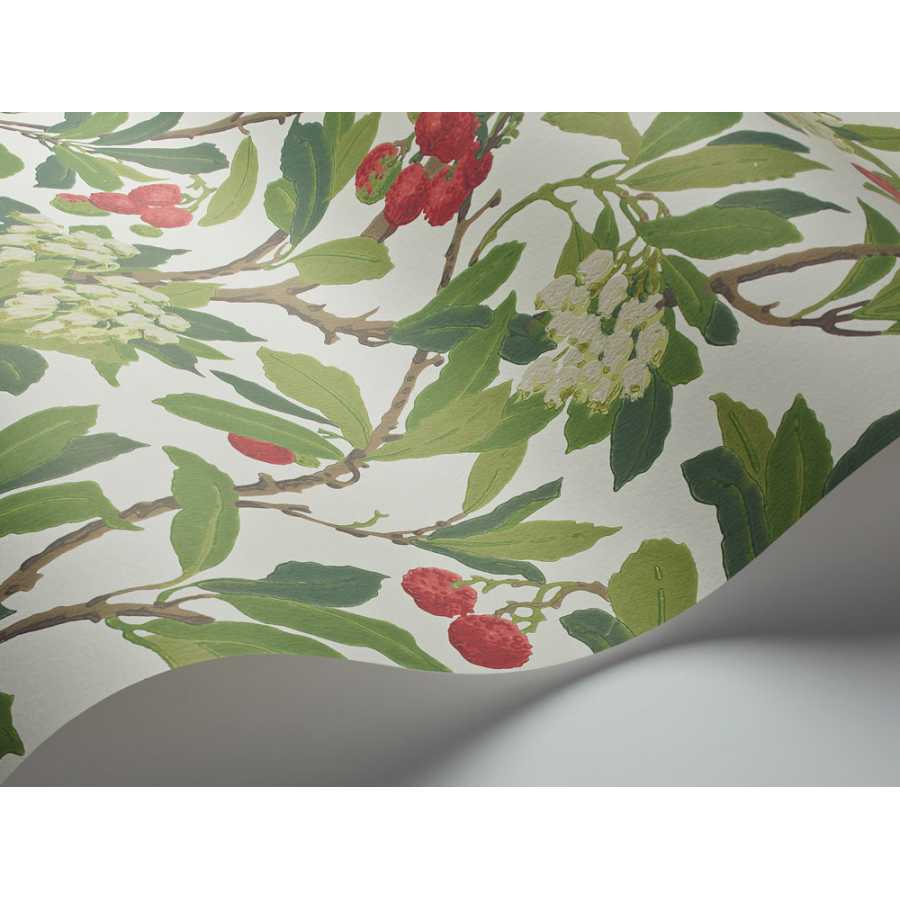 Cole & Son Archive Anthology Strawberry Tree 100/10049 Wallpaper 
