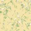 Cole and Son Archive Anthology Sweet Pea 100/6029 Wallpaper