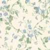 Cole and Son Archive Anthology Sweet Pea 100/6031 Wallpaper