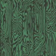 Cole and Son Curio Zebrawood 107/1001 Wallpaper