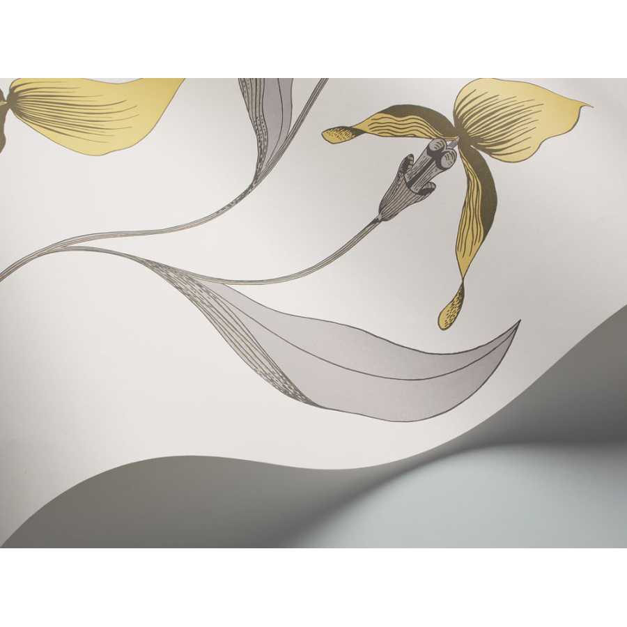 Cole and Son Contemporary Restyled Orchid 95/10057 Wallpaper