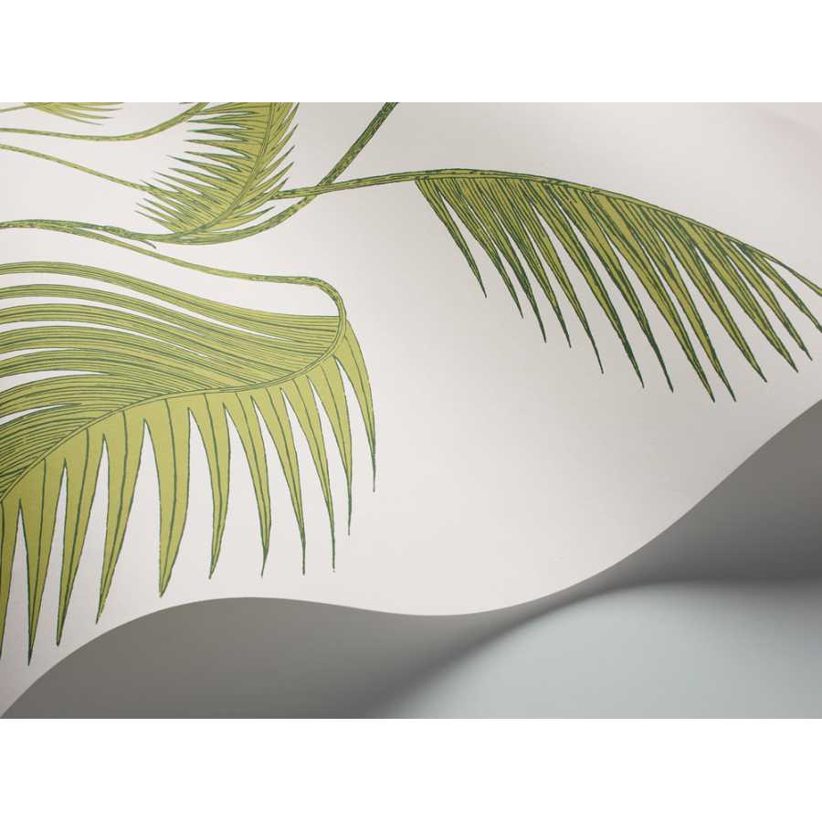 Cole and Son Contemporary Restyled Palm 95/1009 Wallpaper