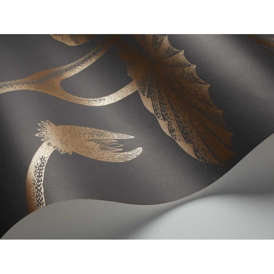 Cole and Son Contemporary Restyled Lily 95/4021 Wallpaper