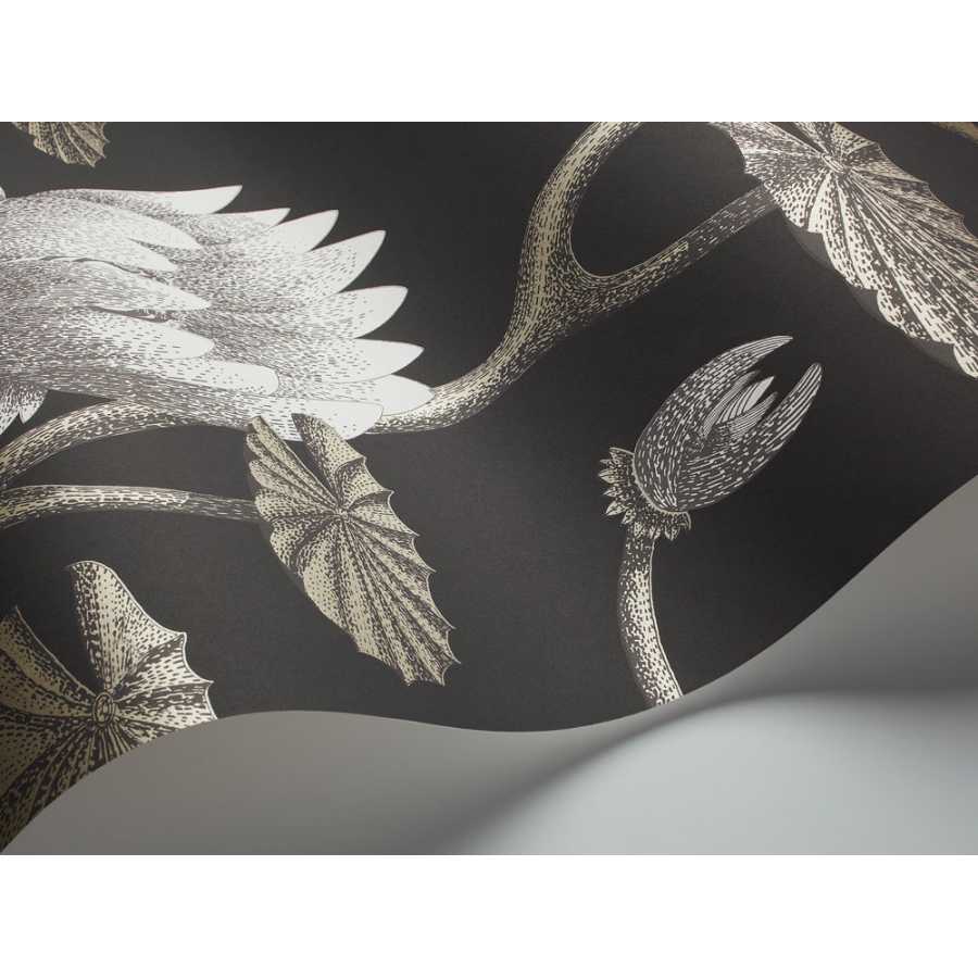 Cole and Son Contemporary Restyled Summer Lily 95/4026 Wallpaper