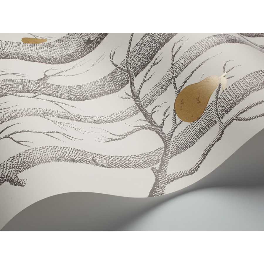 Cole and Son Contemporary Restyled Woods and Pears 95/5032 Wallpaper