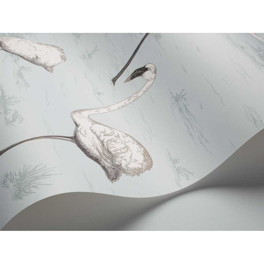 Cole and Son Contemporary Restyled Flamingos 95/8047 Wallpaper