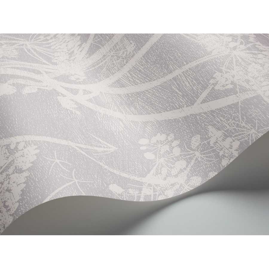 Cole and Son Contemporary Restyled Cow Parsley 95/9049 Wallpaper