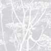 Cole and Son The Contemporary Collection Cow Parsley 95/9049 Wallpaper