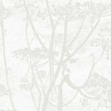 Cole and Son The Contemporary Collection Cow Parsley 95/9052 Wallpaper