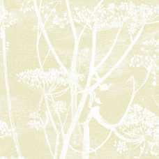 Cole and Son Contemporary Restyled Cow Parsley 95/9053 Wallpaper