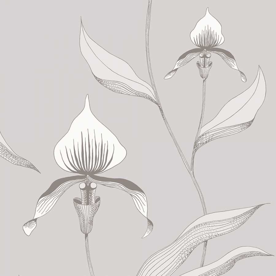 Cole & Son Contemporary Restyled Orchid 95/10055 Wallpaper