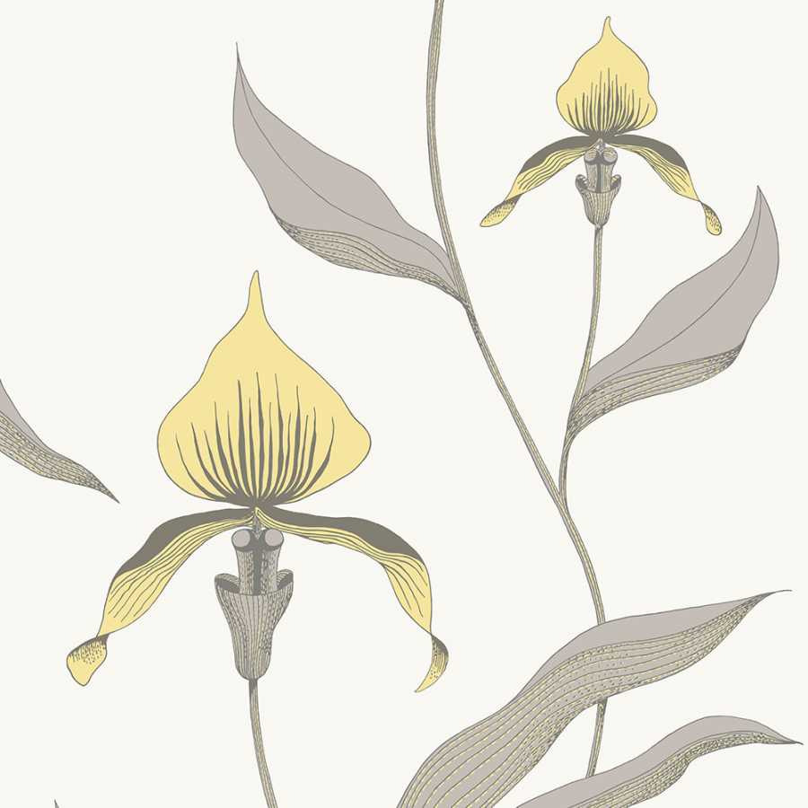Cole & Son Contemporary Restyled Orchid 95/10057 Wallpaper