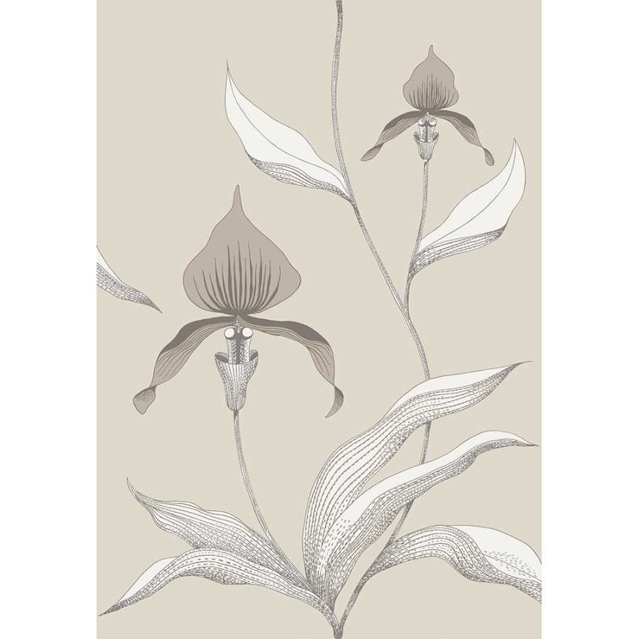 Cole & Son Contemporary Restyled Orchid 95/10058 Wallpaper