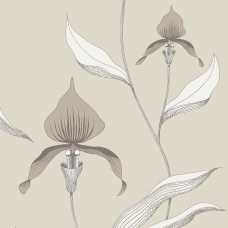 Cole and Son Contemporary Restyled Orchid 95/10058 Wallpaper