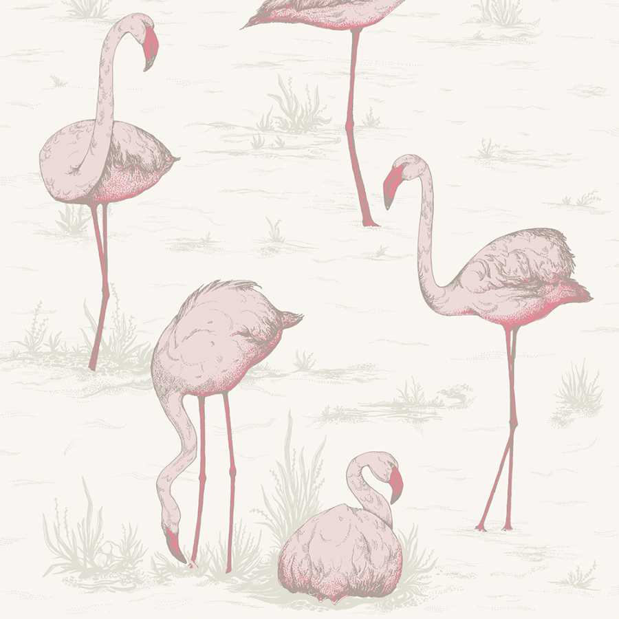 Cole & Son Contemporary Restyled Flamingos 95/8045 Wallpaper