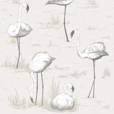 Cole and Son The Contemporary Collection Flamingos 95/8046 Wallpaper