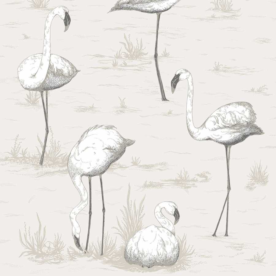 Cole & Son Contemporary Restyled Flamingos 95/8046 Wallpaper