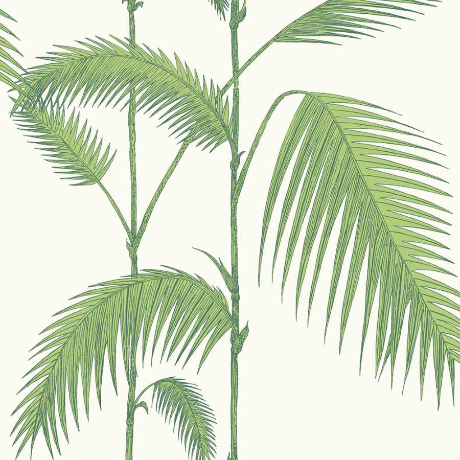 Cole & Son Contemporary Restyled Palm 95/1009 Wallpaper