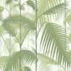 Cole and Son The Contemporary Collection Palm Jungle 95/1001 Wallpaper