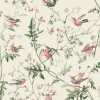 Cole and Son The Contemporary Collection Hummingbirds F62/1001 Fabric