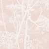 Cole and Son Icons Cow Parsley 112/8028 Wallpaper