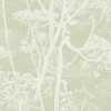 Cole and Son Icons Cow Parsley 112/8029 Wallpaper