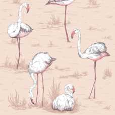 Cole and Son Icons Flamingos 112/11039 Wallpaper