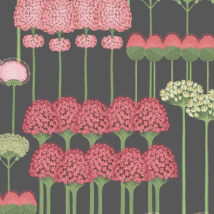 Cole & Son Botanical Allium 115/12037 Wallpaper