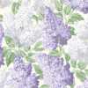 Cole and Son Botanical Lilac 115/1004 Wallpaper