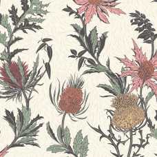 Cole and Son Botanical Thistle 115/14043 Wallpaper