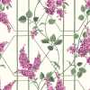 Cole and Son Botanical Wisteria 115/5013 Wallpaper