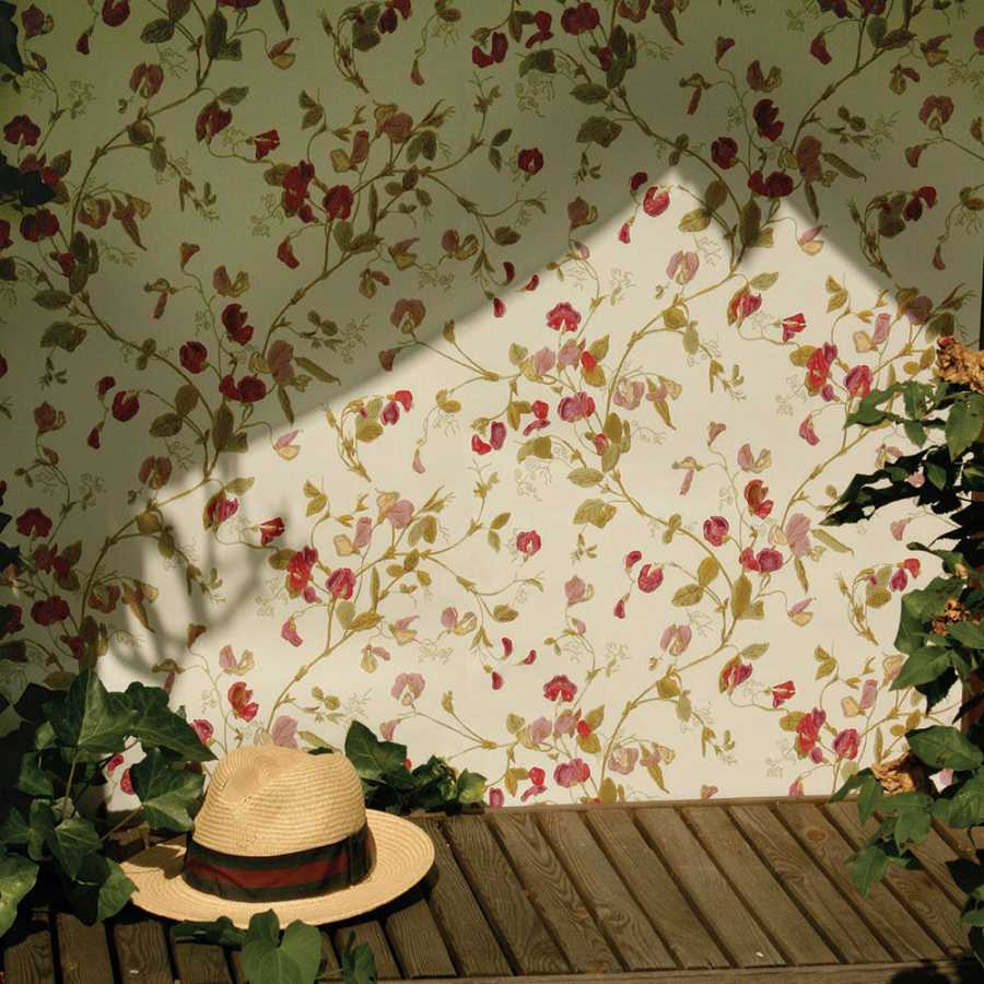 Cole & Son Botanical Sweet Pea 115/11032 Wallpaper