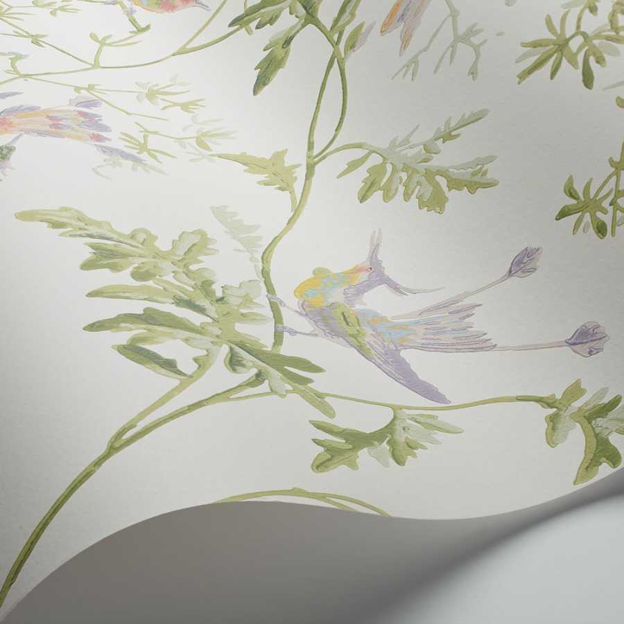 Cole & Son Archive Anthology Hummingbirds 100/14067 Wallpaper 