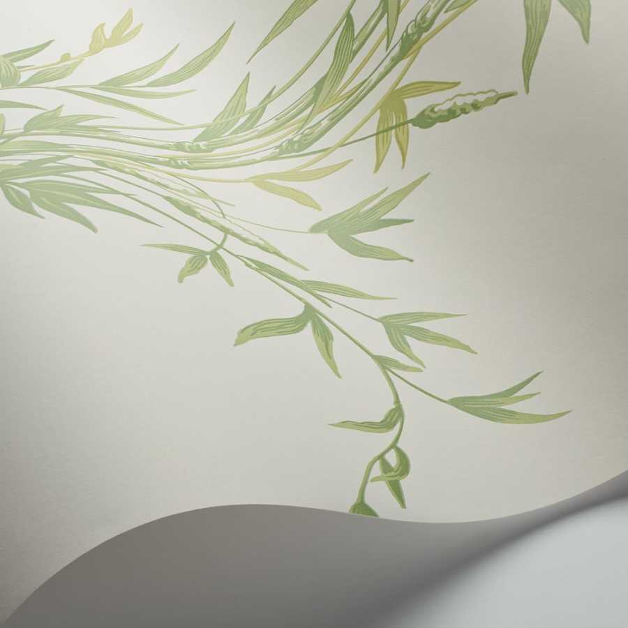 Cole & Son Archive Anthology Bamboo 100/5023 Wallpaper 