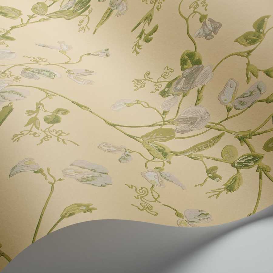 Cole & Son Archive Anthology Sweet Pea 100/6029 Wallpaper